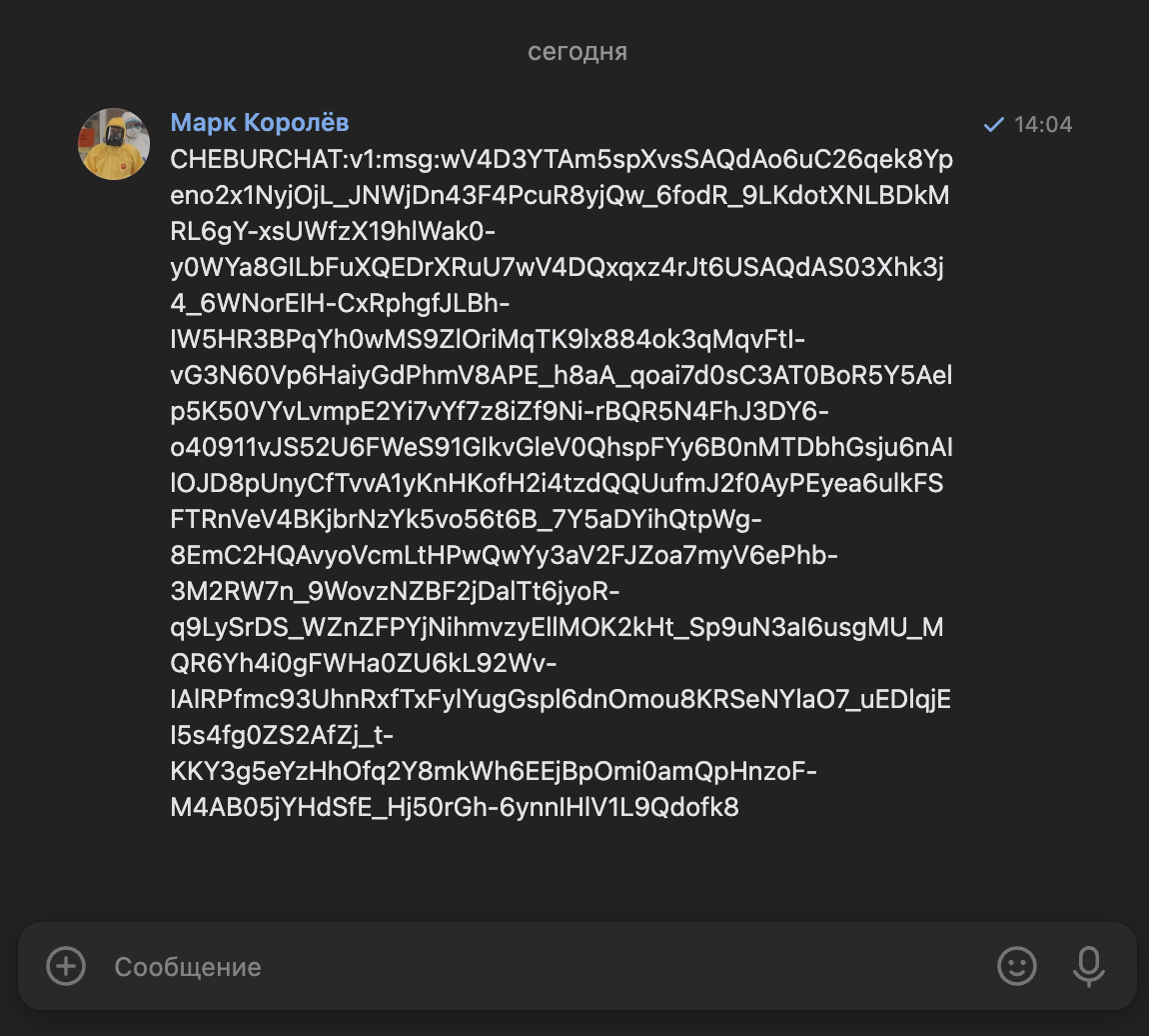 Сообщение выглядит как нечитаемый зашифрованный текст в чате ВКонтакте